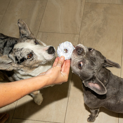 Chomp Chomp Donuts