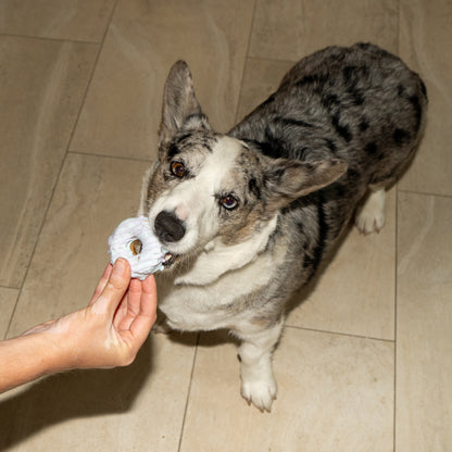 Chomp Chomp Donuts